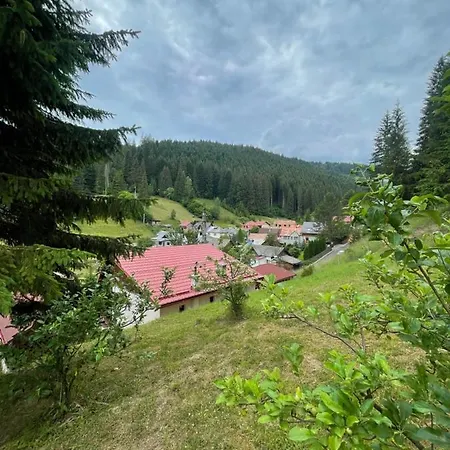 Casa De Vacanță Cheșa