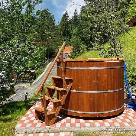 Casa De Vacanță Cheșa