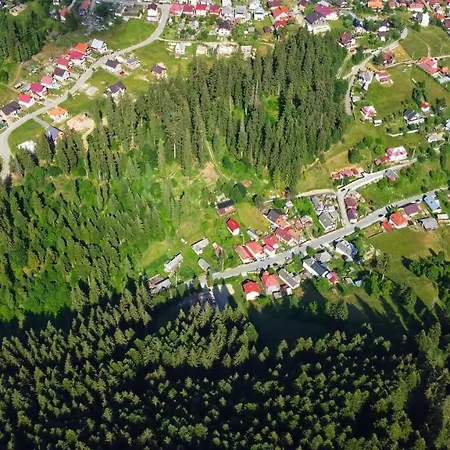 Casa De Vacanță Cheșa Borsec